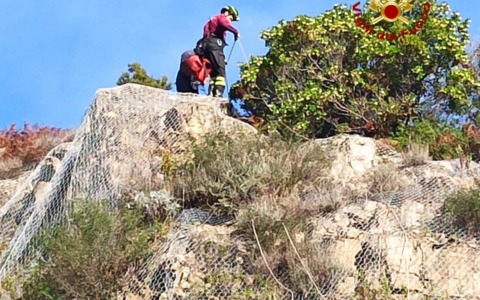 Rapace rimasto impigliato nelle reti protettive di una parete scoscesa, intervento dei Vigili del fuoco