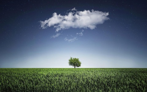 Prato sintetico in giardino: come trasformare l’outdoor in un’oasi verde senza manutenzione