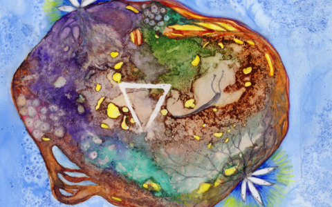 Daniela Spaggiari presenta “Amnesia”