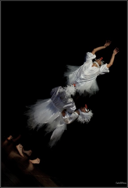 Al Sociale di Camogli la magia del “Brutto Anatroccolo”