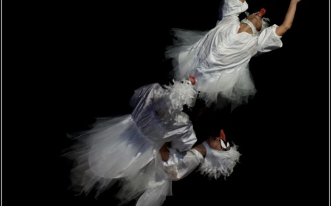 Al Sociale di Camogli la magia del “Brutto Anatroccolo”