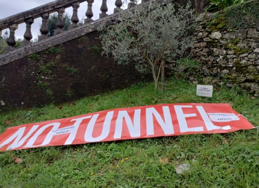 Due anni con l’ulivo del No Tunnel: il simbolo della valle che resiste