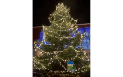 Recco entra nell’atmosfera natalizia con l’accensione dell’albero