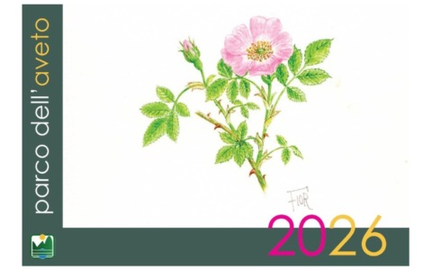 Torna il calendario del Parco dell’Aveto