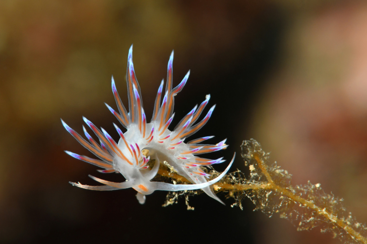Rassegna “Uomini e Navi”: il fotografo Migone racconta il mare tra colori e segreti