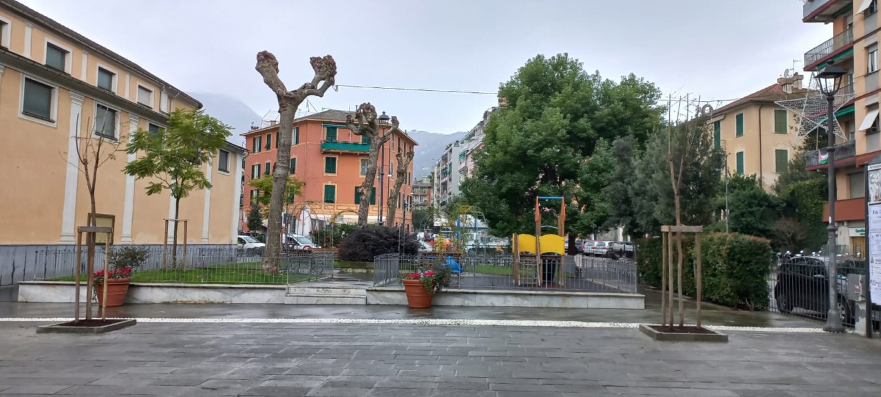 Procedono a Santa Margherita le ripiantumazioni degli alberi