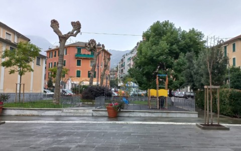 Procedono a Santa Margherita le ripiantumazioni degli alberi