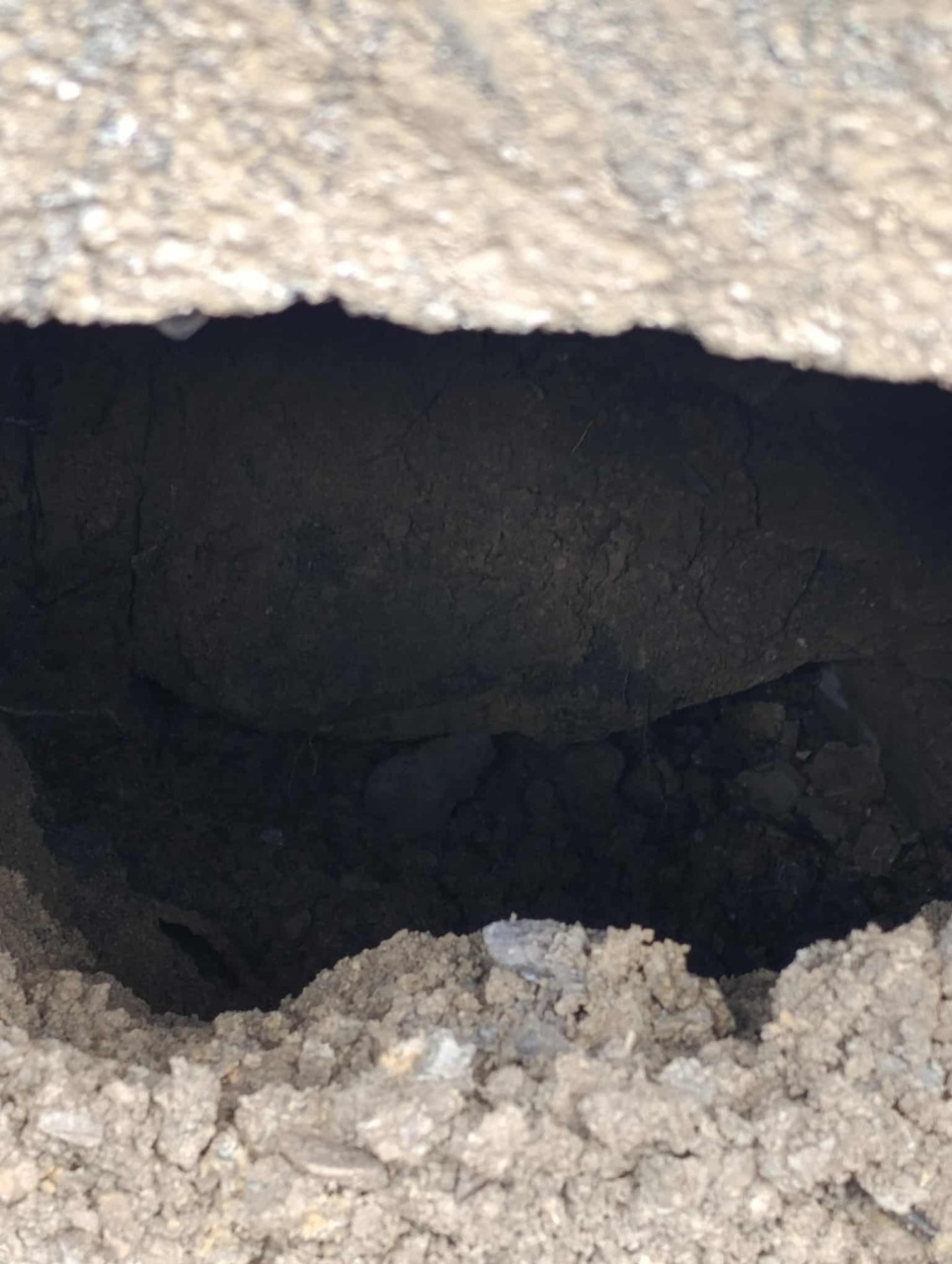 Frana di Camogli, Sanna (Pd): “Serve un piano organico di prevenzione”