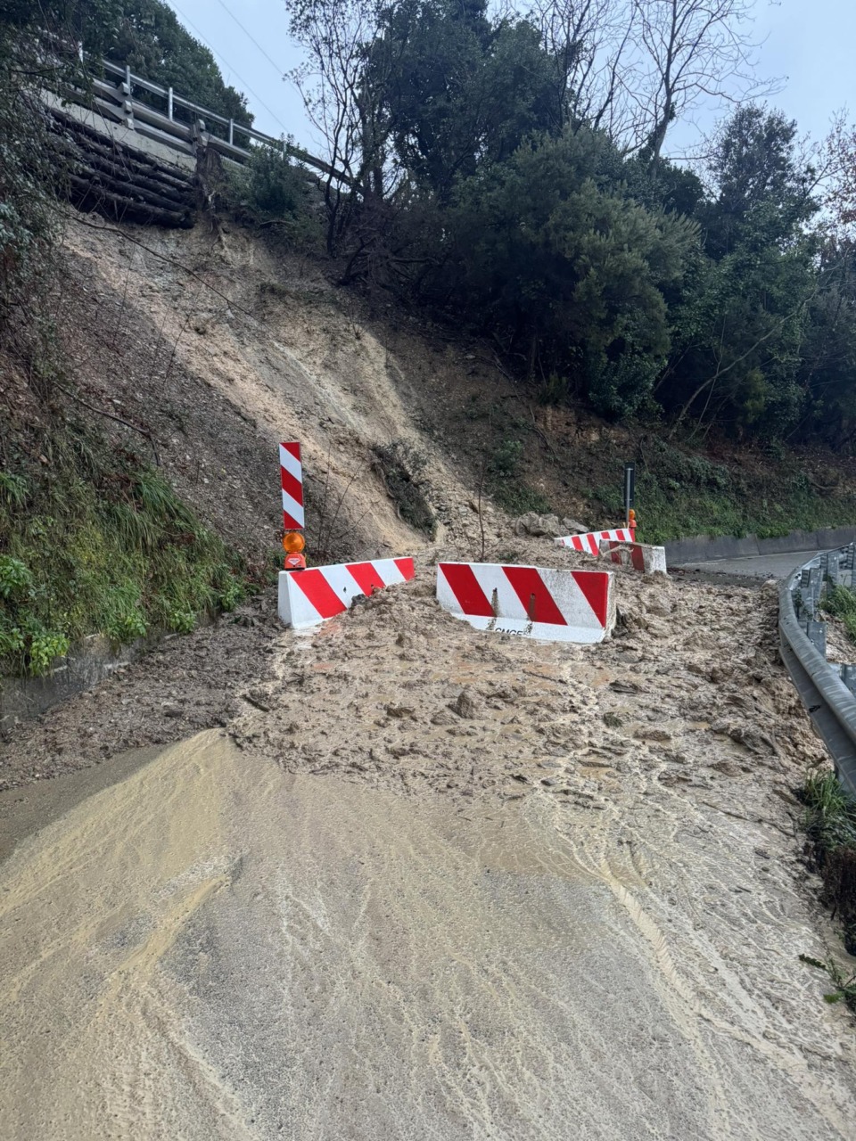 Una frana interrompe la provinciale tra Casarza Ligure e il Passo del Bracco