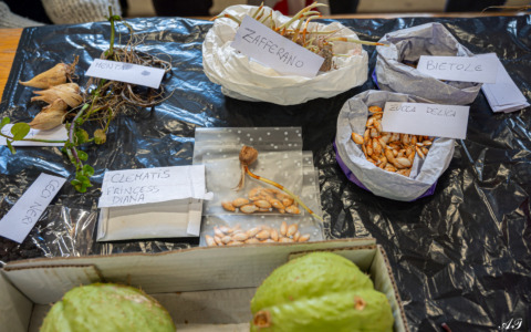 Mandillo dei Semi 2026, a Santo Stefano d’Aveto la festa dello scambio contadino