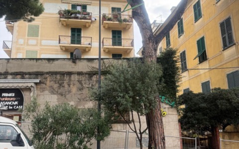 Recco, al via il piano di manutenzione del verde attraverso la potatura del patrimonio arboreo