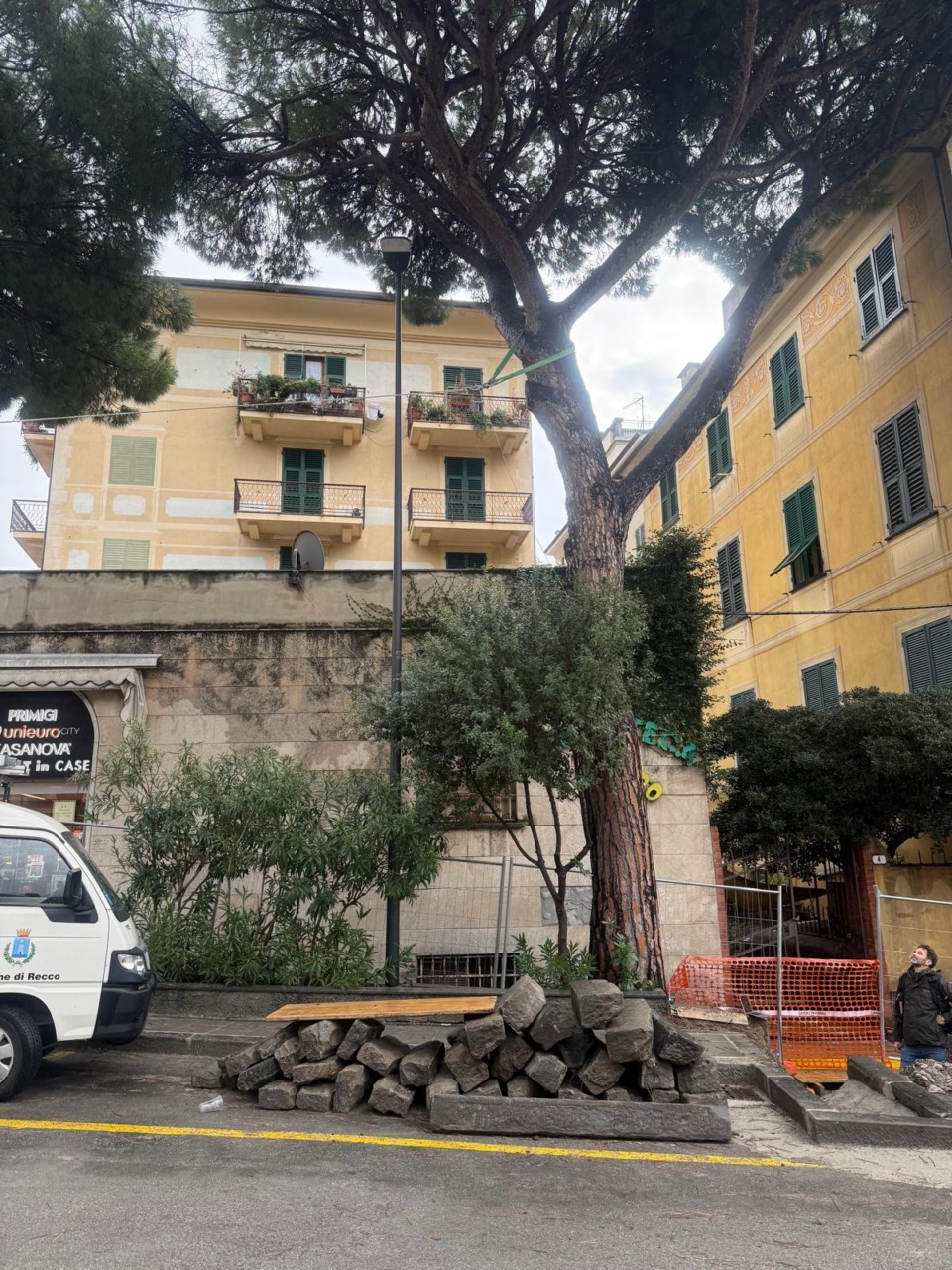 Recco, al via il piano di manutenzione del verde attraverso la potatura del patrimonio arboreo