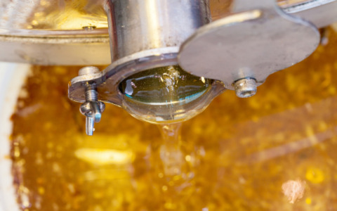 Mieli di Liguria 2025, oggi la premiazione