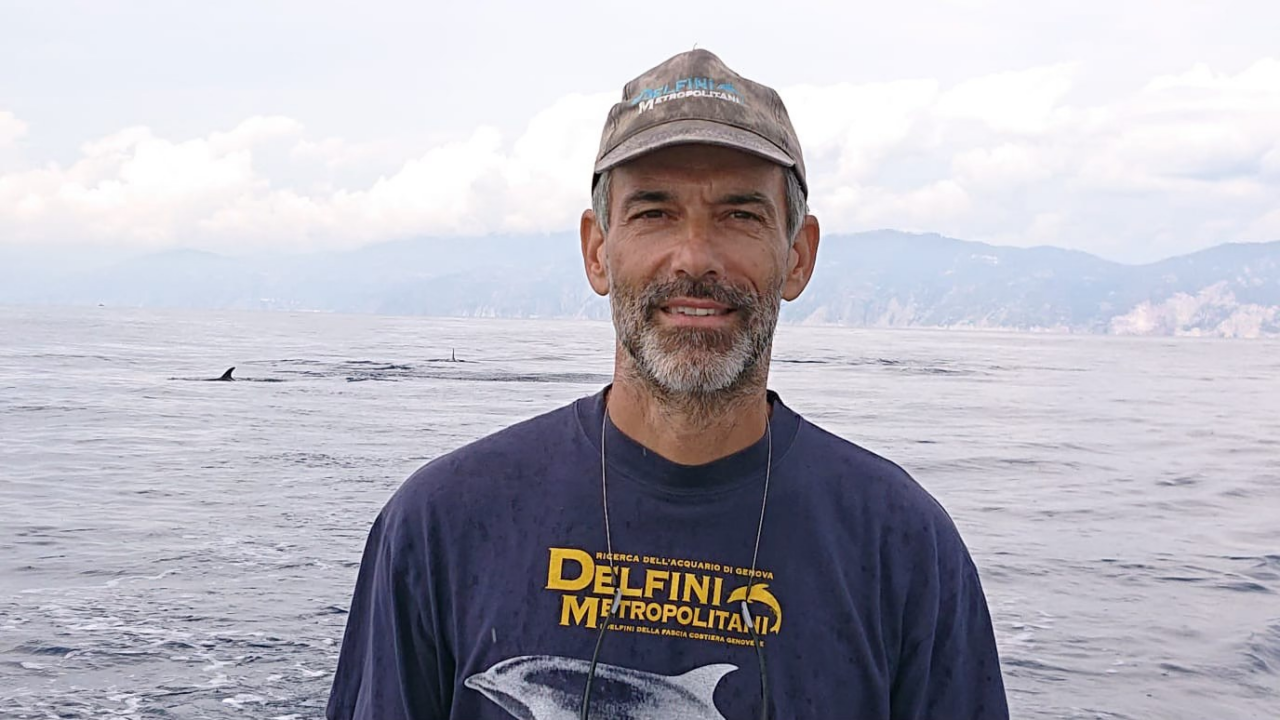 La tutela del tursiope in Liguria protagonista a Uomini e Navi sabato 7 febbraio