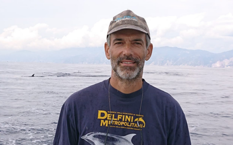 La tutela del tursiope in Liguria protagonista a Uomini e Navi sabato 7 febbraio