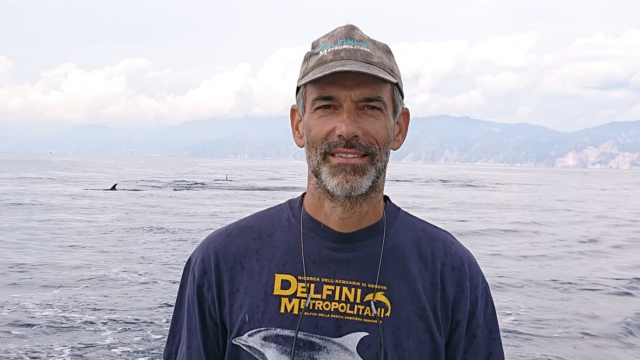 La tutela del tursiope in Liguria protagonista a Uomini e Navi sabato 7 febbraio