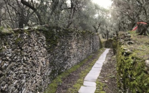 Parco Museo Tigullio, tre nuovi itinerari verticali e  300 siti mappati