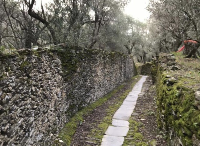 Parco Museo Tigullio, tre nuovi itinerari verticali e 300 siti mappati