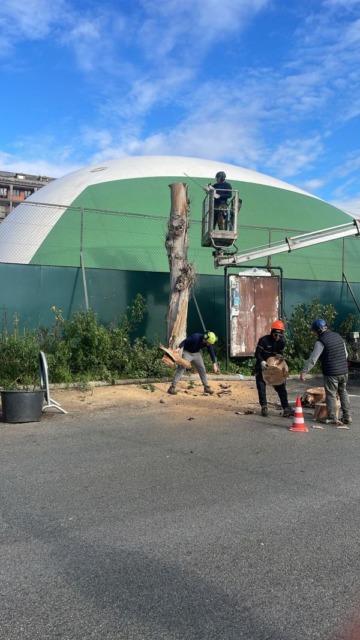 Recco: proseguono gli interventi programmati sul verde pubblico