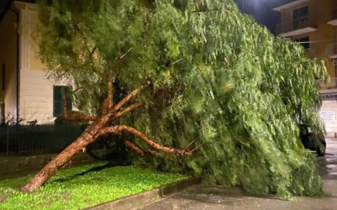 Maltempo, la situazione nel Levante