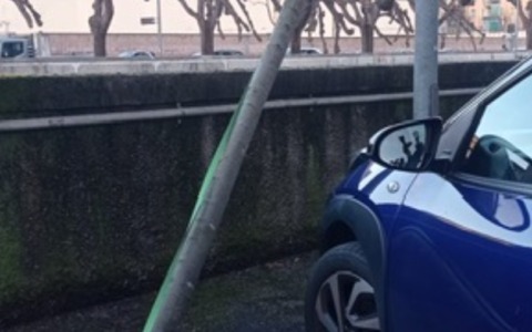 Verde pubblico a Rapallo: Carranante all’attacco della Giunta