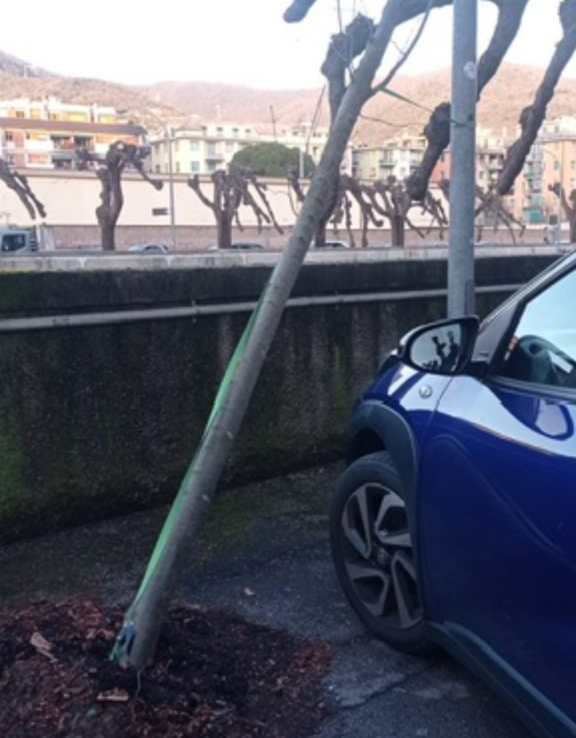 Verde pubblico a Rapallo: Carranante all’attacco della Giunta