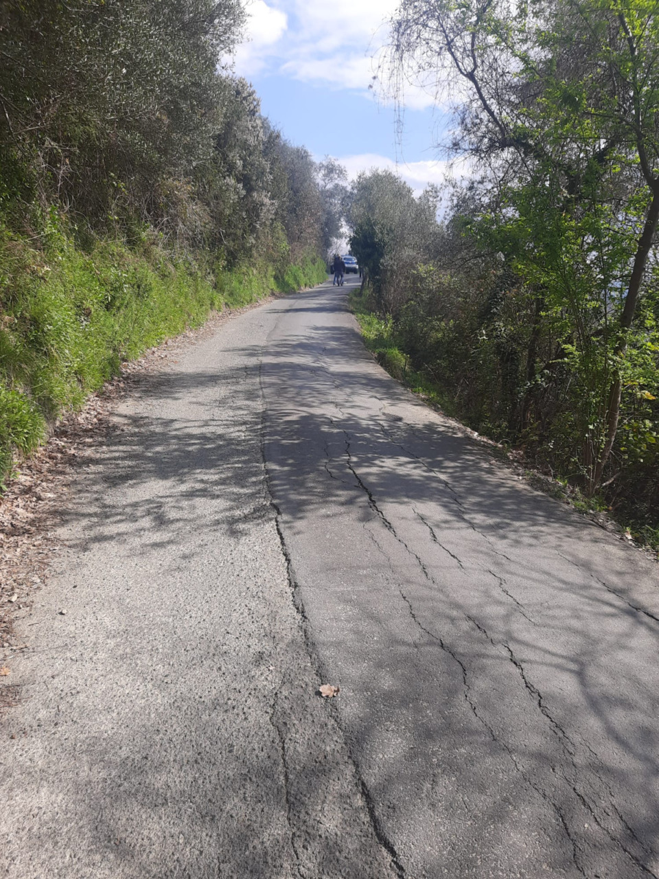 Rischio cedimento della carreggiata, chiude la strada tra San Bernardo e Loto a Sestri