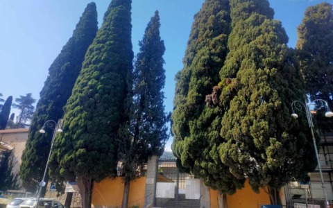 Santa Margherita Ligure, iniziano i lavori al cimitero centrale