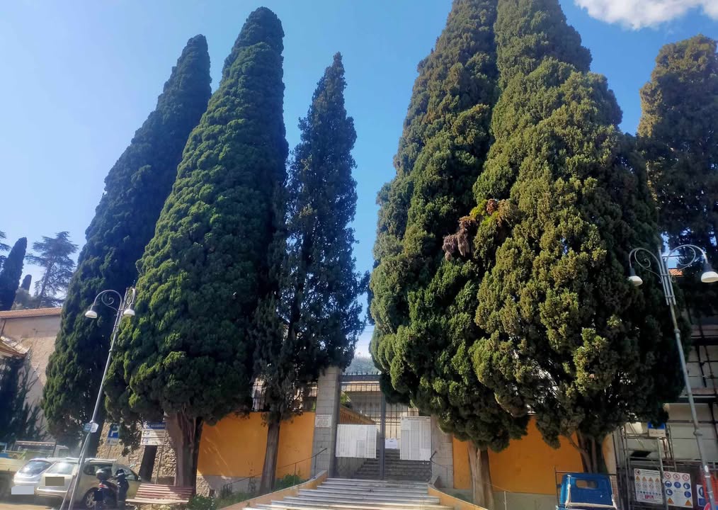 Santa Margherita Ligure, iniziano i lavori al cimitero centrale