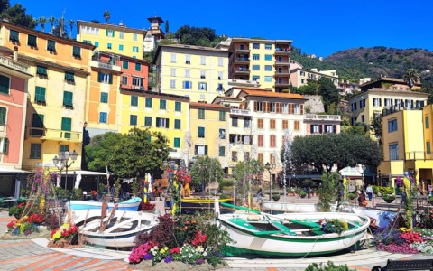 Torna l’allestimento floreale per il periodo pasquale a Zoagli