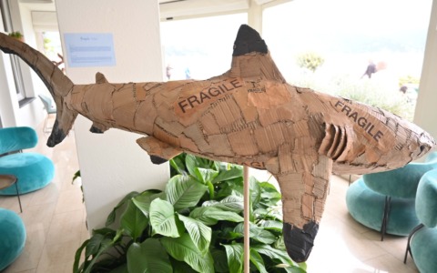 Raul Orvieto porta ‘Wild Waste’ a Santa Margherita: riflessioni tra arte e ambiente