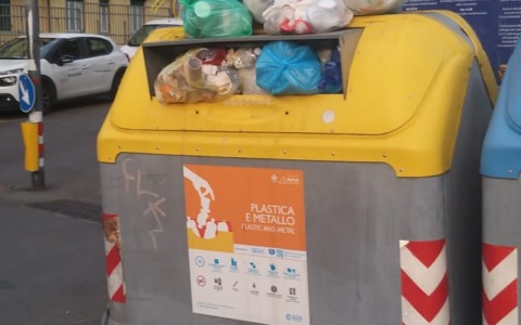 Cinghiali abbattuti, Comitato Torrente San Francesco: «Dal Comune di Rapallo una pessima gestione dello smaltimento di rifiuti»