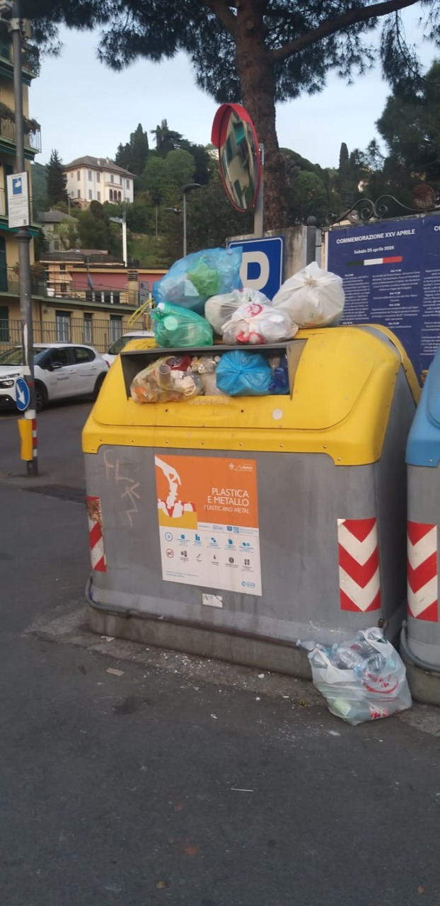 Cinghiali abbattuti, Comitato Torrente San Francesco: «Dal Comune di Rapallo una pessima gestione dello smaltimento di rifiuti»