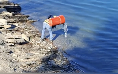 Pasqua a Giacopiane, immesse trote “big” fino a 3 chili