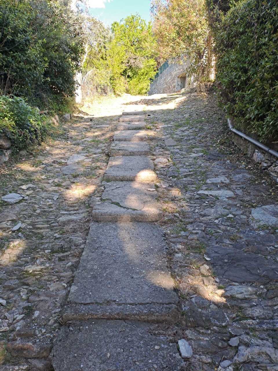 Recco, proseguono le operazioni di sfalcio e pulizia lungo le pedonali verso Megli