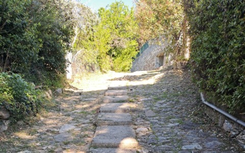 Recco, proseguono le operazioni di sfalcio e pulizia lungo le pedonali verso Megli