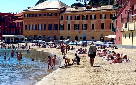 La maggioranza: “Chi ha portato Mediaterraneo Servizi sull’orlo del baratro oggi fa la morale”