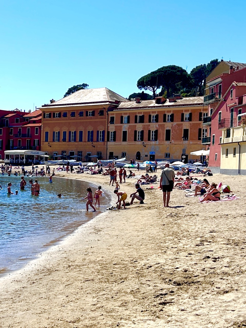 La maggioranza: “Chi ha portato Mediaterraneo Servizi sull’orlo del baratro oggi fa la morale”