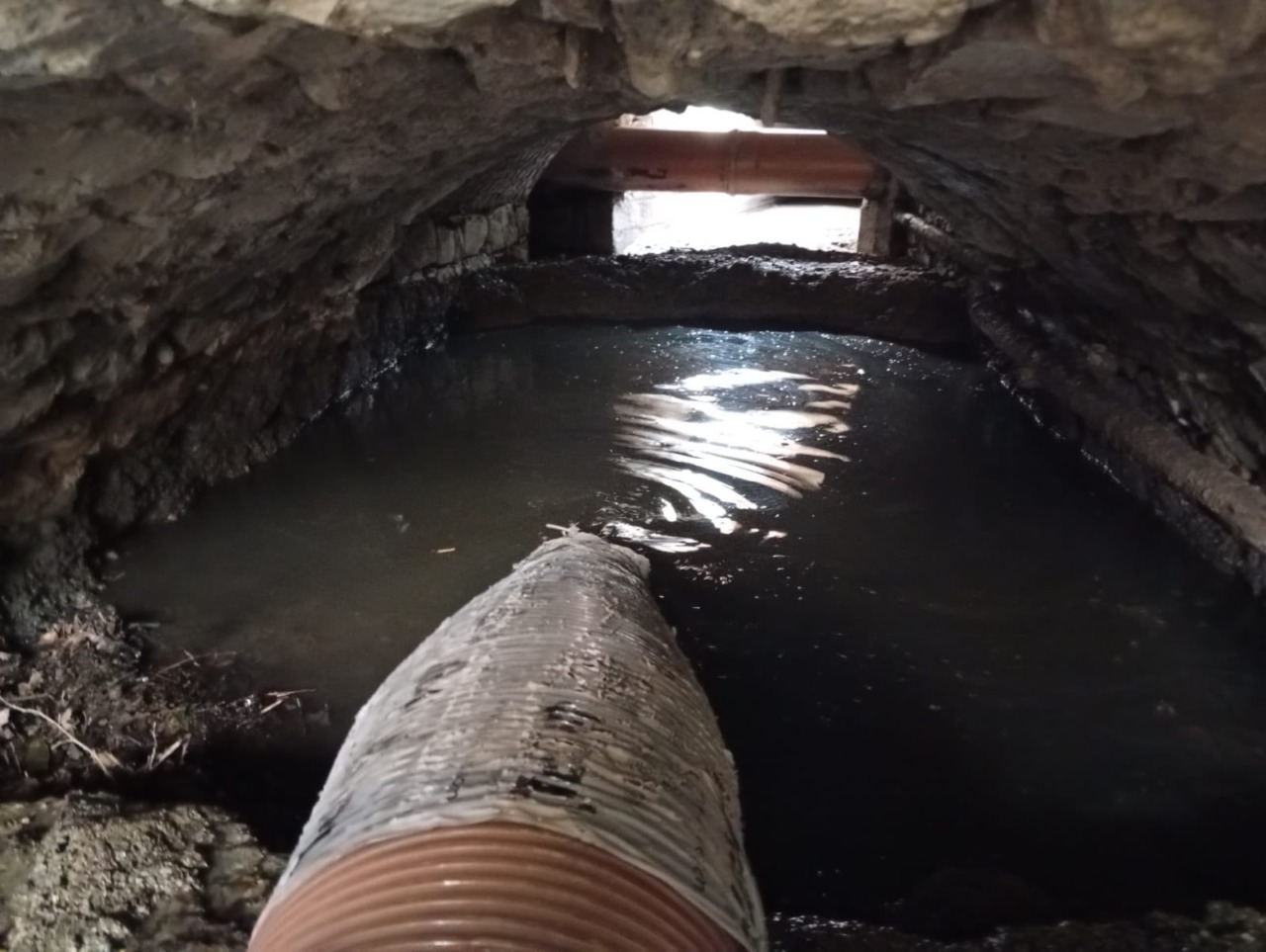 Rimossi 12.000 kg di sabbia a Caperana