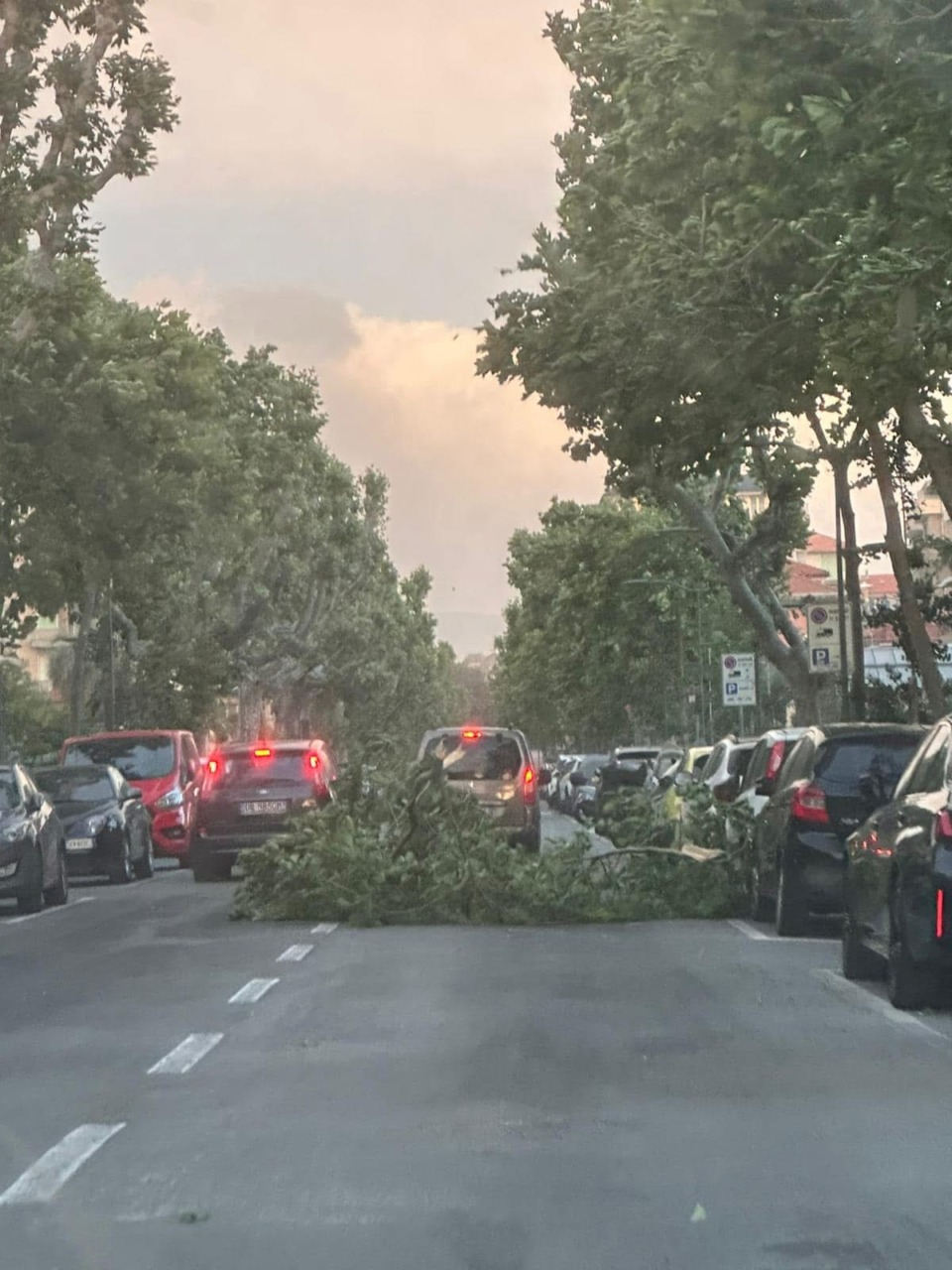 Forte vento nel Tigullio, mareggiata e disagi lungo la costa