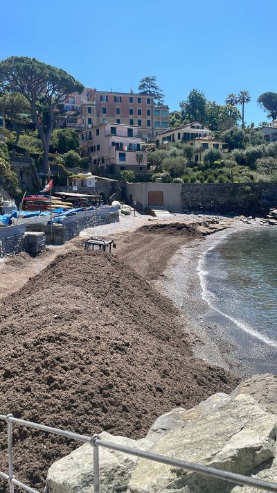 Recco, sospesi i lavori sulla spiaggia dei Frati per il weekend della Festa della Focaccia