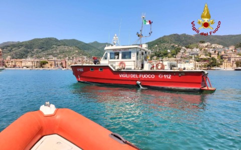 Sciame d’api assedia una barca a vela: diportisti costretti a tuffarsi in mare