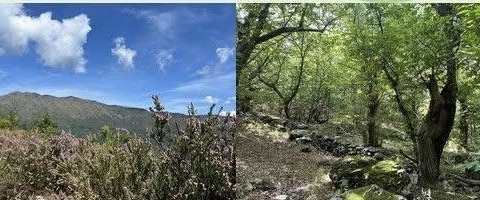 San Colombano, sabato 9 maggio si inaugura un nuovo anello escursionistico