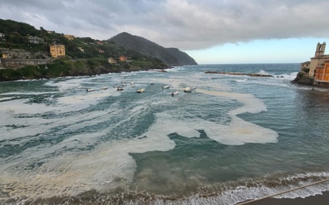 Baia del Silenzio si colora di giallo: il mare tinto dal polline