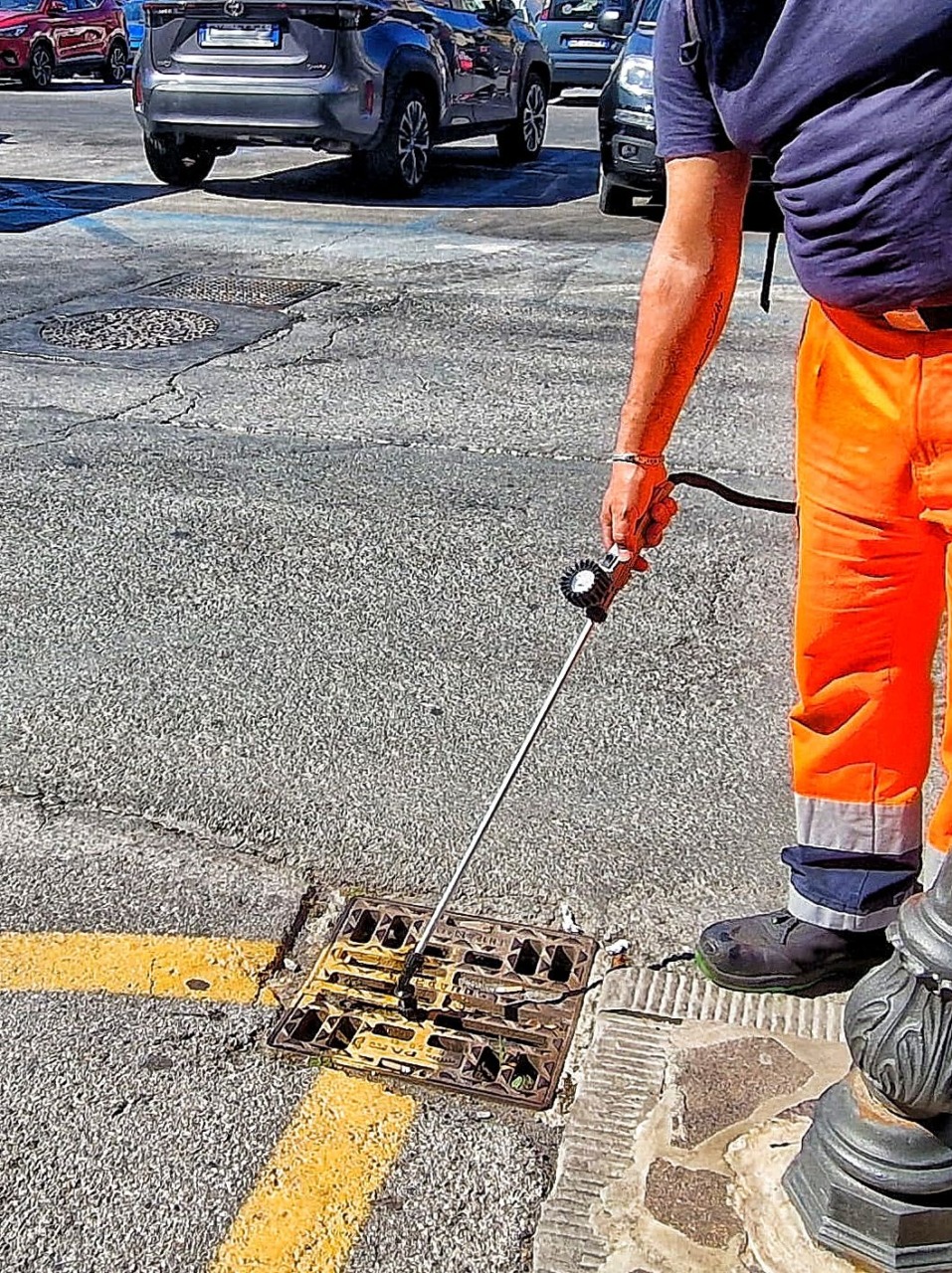 Trattamento larvicida contro le zanzare a Lavagna