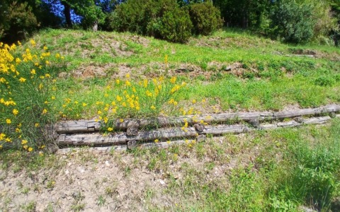 Sestri, al Parco Montepagano nasce un’oasi fiorita per api e impollinatori