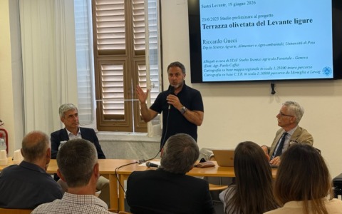 Presentato a Sestri Levante il primo stralcio del progetto “Terrazza Olivetata del Levante Ligure”