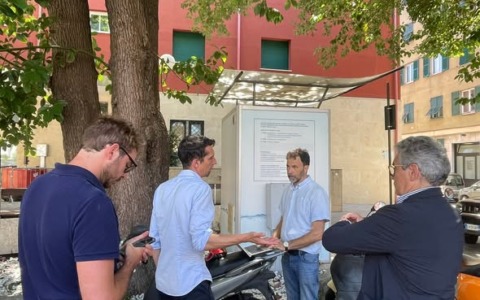 Recco: abbattimento di una canfora pericolante in piazza Matteotti
