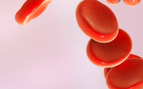 Lunedì 29 giugno un incontro pubblico per conoscere l’ambulatorio ematologico della Asl 4