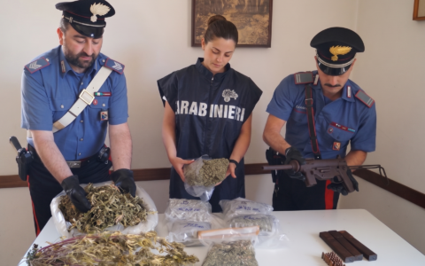 Serra di marijuana in un casolare e una mitraglietta in casa: arrestato 63enne in Val Fontanabuona